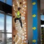 Discovery Hotel