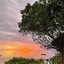 The Island - Pongwe Lodge - Adults Only
