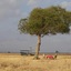 Vuma Hills
