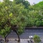 Nta Hotel - Serviced Apartments