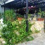 Mdiq Chalets