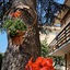 B&B Il Cedro