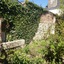 La Petite Vigne
