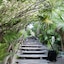 Kimpton Aluna Tulum By Ihg