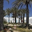 Monarque Dar Jerba Zahra