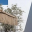 Andronis Arcadia