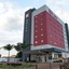Ibis Tatuí