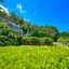 Villa Luisa