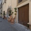 Residenza D Epoca La Basilica