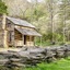 Lazy Cub Lodge