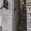 Boutique Hotel Capitano
