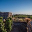 Castellaro Wine Resort