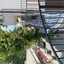 Noah Beach Hotel