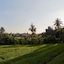 Blue Bamboo Villas