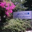 Yagmur Hotel