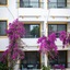 Payam Hotel