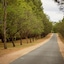 Renmark Country Club