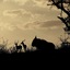 African Spirit Game Lodge