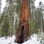 Hampton Inn Oakhurst-Yosemite