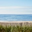 Marram