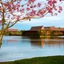 Disney's Polynesian Villas & Bungalows