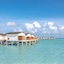 Joy Island