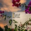The Ray Hotel And Studios,Bei