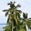AngelNido Resort