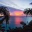 Cocos Hotel