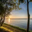 The Shellsea Krabi Luxury Beach Front Resort & Pool Villa