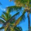 Suites Sol E Mar