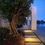 Monogram Travel Antiparos