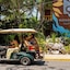 Mayan Monkey Isla Mujeres | Social Hotel