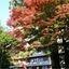 Okuyugawara Onsen Sansuirou