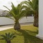 Tzanis Resort