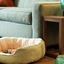 Home2 Suites by Hilton Ashburn, VA