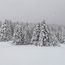 Folgaria Trentino