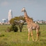 Nairobi