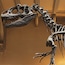 Natural History Museum