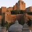 The Gibrafaro