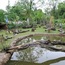 Zoological Gardens