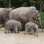 Zurcher Zoo