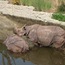Zoo Basel