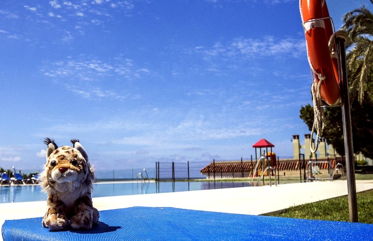 Swimming pools - 1