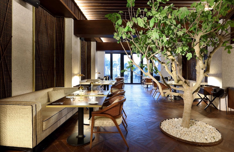 Restaurants - 6