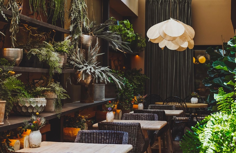 Restaurants - 23