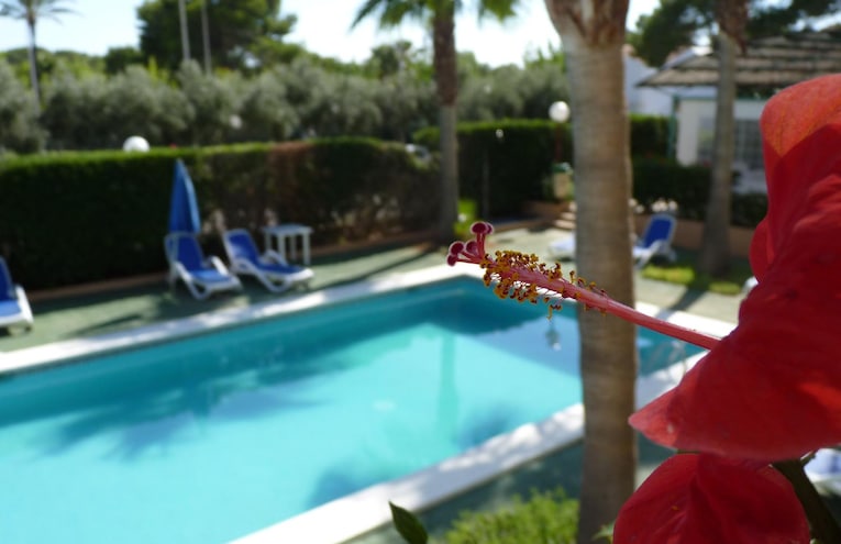 Swimming pools - 2