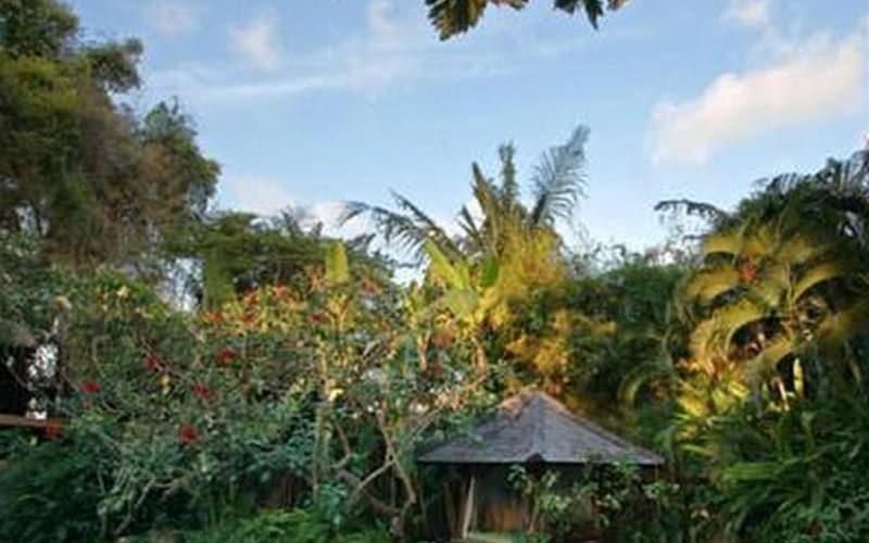Villa Umah Kedash Seminyak Logitravel - 